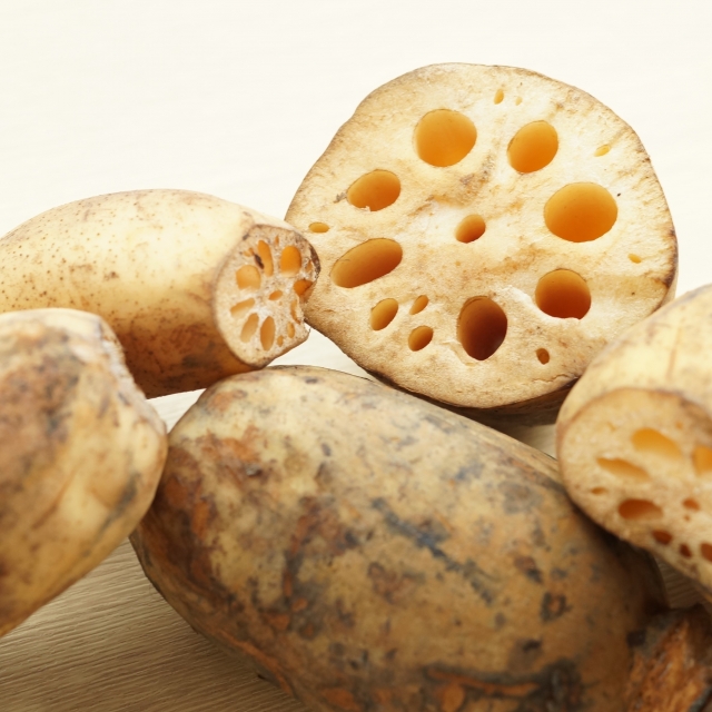 蓮根 ム◯ンサタン ム◯ンバイン KAGA LOTUS ROOT (RENKON) From Healthy Soil, Plenty of Protein and
