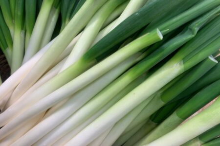 12月「葱（ねぎ）」カラダを温めて風邪予防