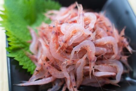 3月　桜エビ「足腰の冷え、疲労回復に」