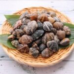 4月「浅蜊（あさり）」血行をよくして水分代謝もアップ