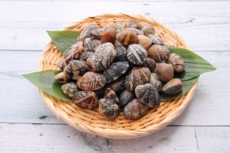 4月「浅蜊（あさり）」血行をよくして水分代謝もアップ