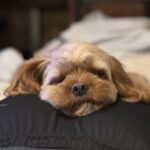 暑い夏に備えて今から出来ること