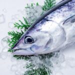 5月「鰹（かつお）」体力を回復し、貧血や不眠を改善